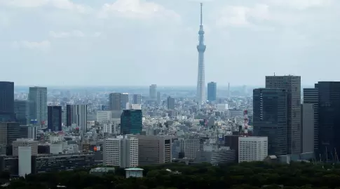 מגדל "עץ השמיים" בטוקיו (רויטרס)