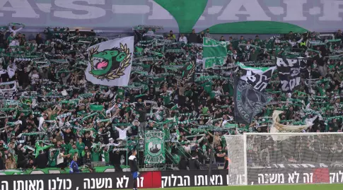 אוהדי מכבי חיפה (עמרי שטיין)
