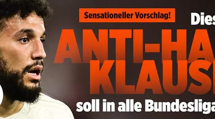 הרעיון בגרמניה: סעיף אנטי-שנאה (צילום מסך מה'בילד')
