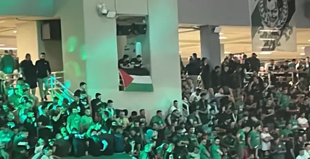 דגל פלסטין באואקה  (משה ברדה)